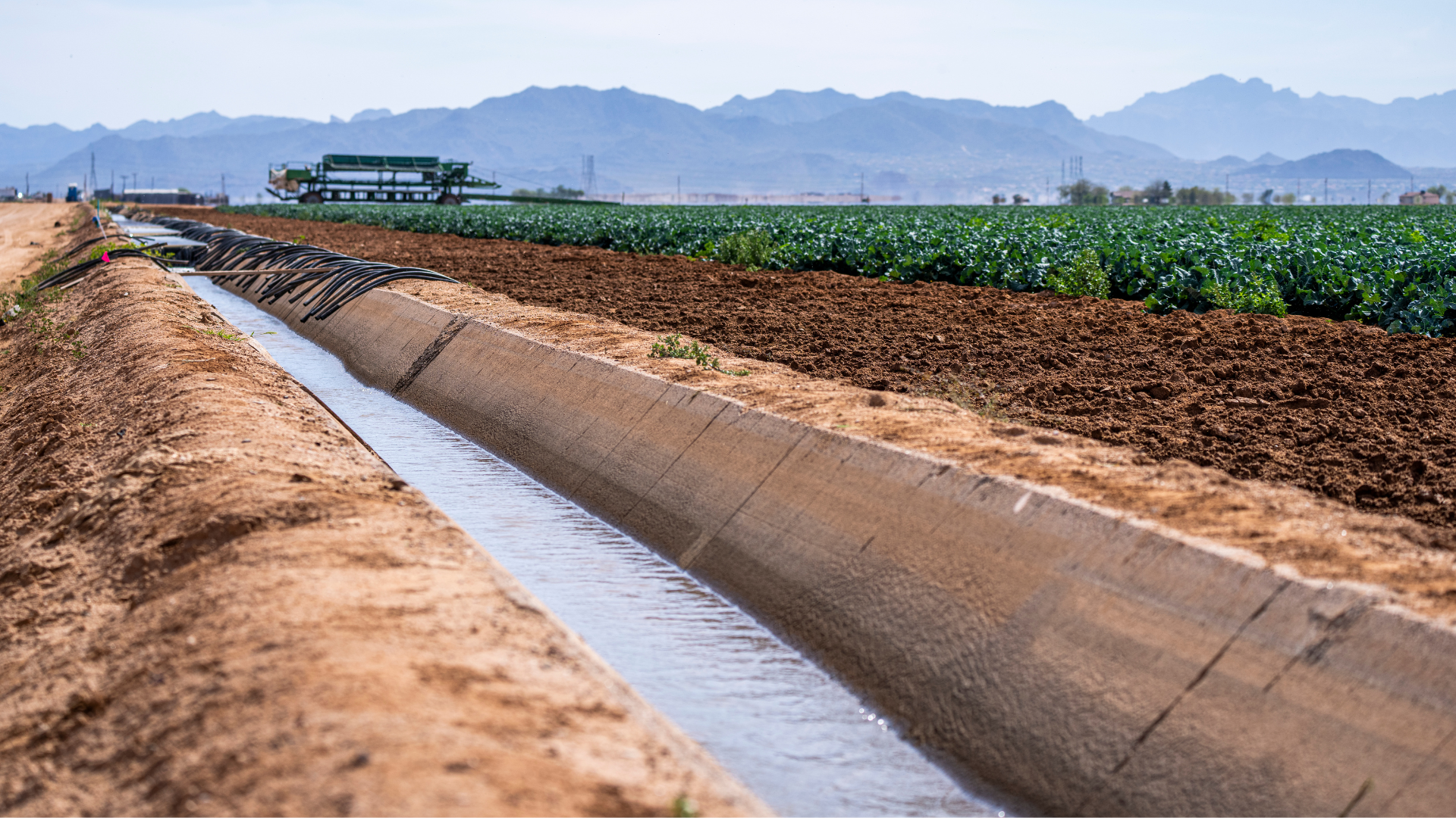 Drought monitoring in agricultural field